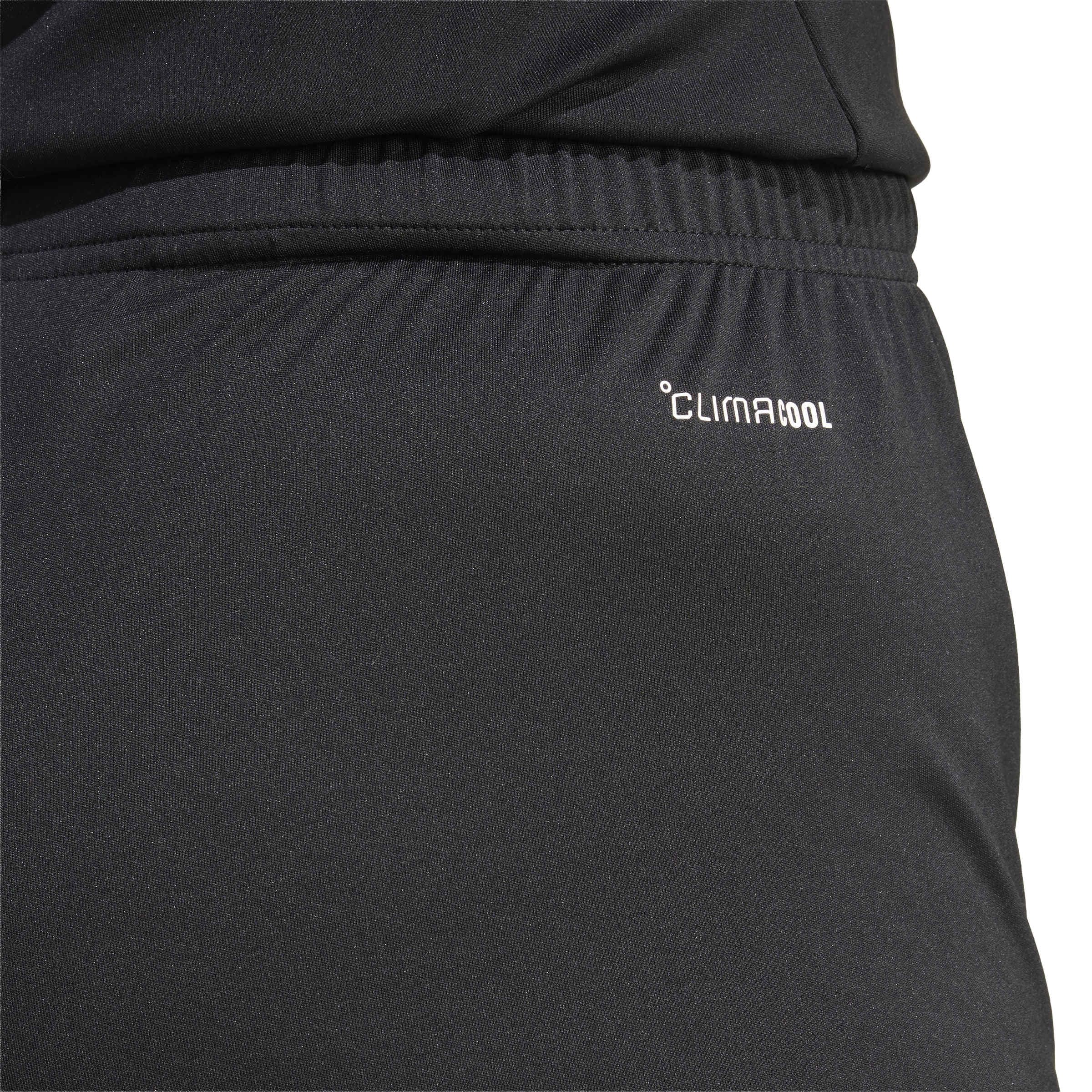 Women's Lightweight Performance Training Athletic Shorts